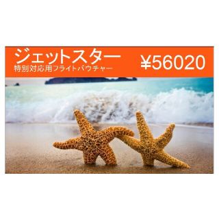 ジェットスター バウチャーの通販 14点 | フリマアプリ ラクマ