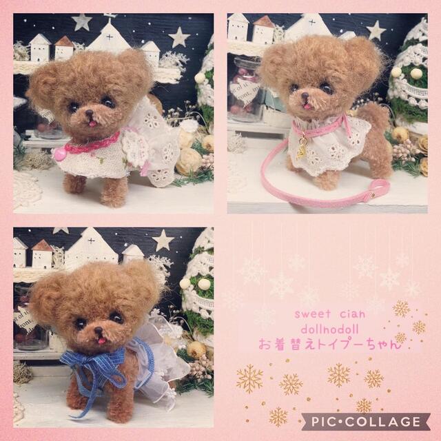 美しい みよんのモールっ子 お着替えトイプーちゃん ぬいぐるみ - kajal.pl 美しい みよんのモールっ子 お着替えトイプーちゃん ぬいぐるみ - kajal.pl