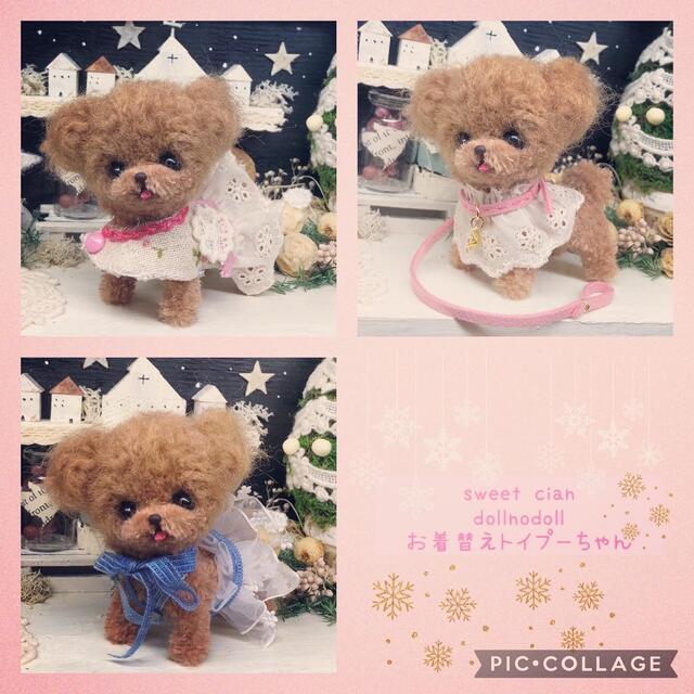 みよんのモールっ子 お着替えトイプーちゃん????ぬいぐるみ/人形