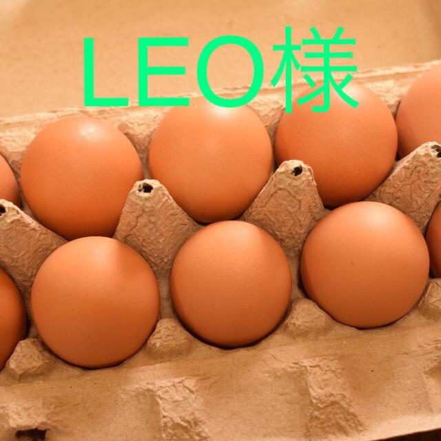 LEO様専用　平飼いたまご60個 食品/飲料/酒の食品(野菜)の商品写真