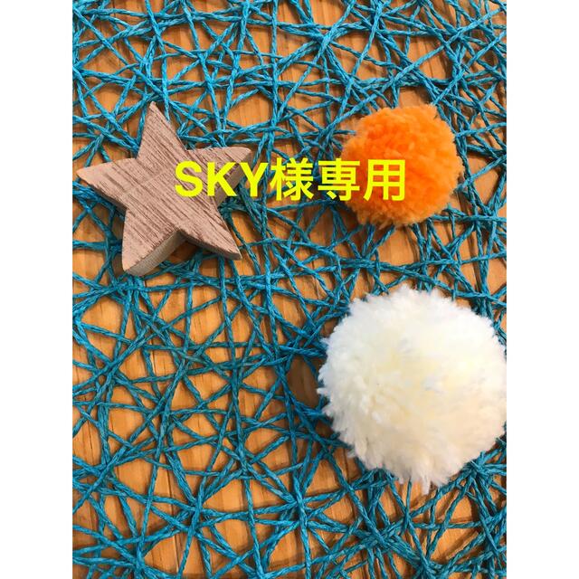 SKY様専用ページ☺︎ その他のその他(オーダーメイド)の商品写真