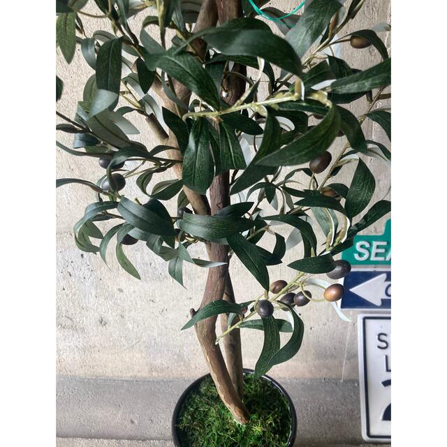光触媒 人工観葉植物 ウォールグリーン フェイク アレンジ 光触媒 人工観葉植物 ウォールグリーン フェイク アレンジ