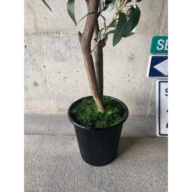 光触媒 人工観葉植物 ウォールグリーン フェイク アレンジ 光触媒 人工観葉植物 ウォールグリーン フェイク アレンジ