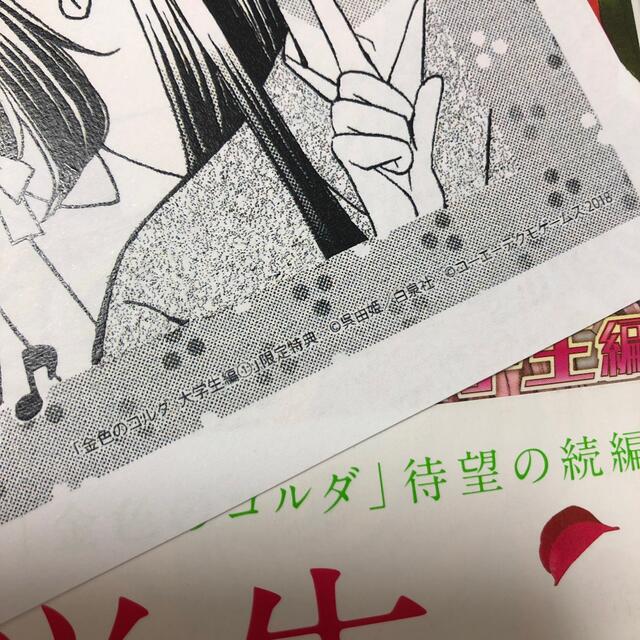 白泉社(ハクセンシャ)の【帯・特典付き】金色のコルダ大学生編 Ｖｏｌ．１ エンタメ/ホビーの漫画(少女漫画)の商品写真