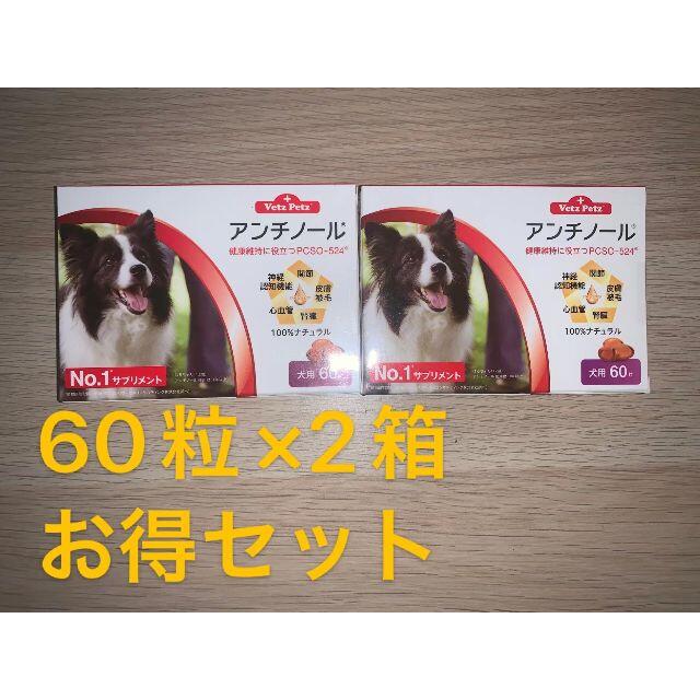 12月購入【アンチノール (犬用)60粒✕2個セット！】新品未開封 www