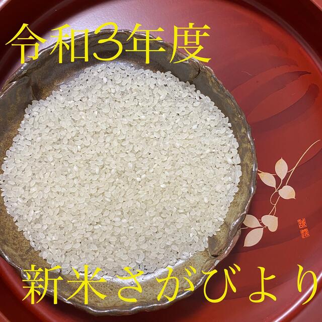 《新米》令和3年度産・特A評価！農家直送のさがびより・20キロ食品/飲料/酒