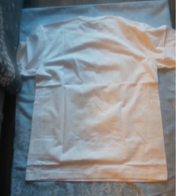 COMME des GARCONS(コムデギャルソン)のCOMME des GARCONS ミステリーバッグ2021Tシャツ メンズのトップス(Tシャツ/カットソー(半袖/袖なし))の商品写真