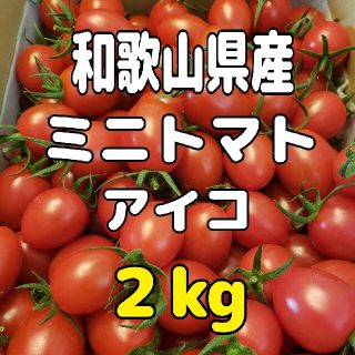 和歌山県産 ミニトマト アイコ ２㎏(野菜)