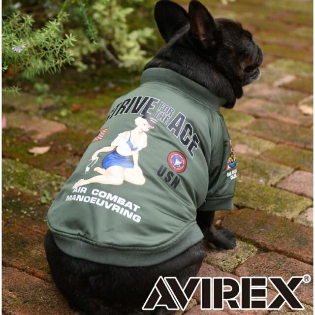 avirex 犬服　MAー1 ピンナップガール