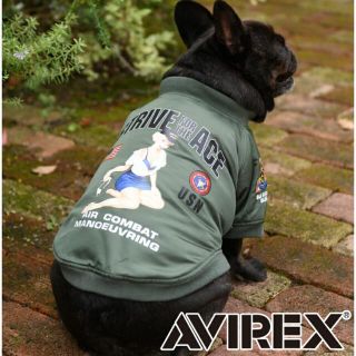 アヴィレックス(AVIREX)のavirex 犬服　MAー1 ピンナップガール(犬)