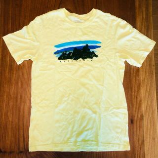 パタゴニア(patagonia)のpatagonia パタゴニア Tシャツ　XSサイズ(アメリカ製)(Tシャツ/カットソー(半袖/袖なし))