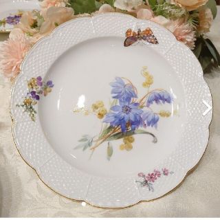 マイセン(MEISSEN)のマイセン　自然主義　お皿２枚組(食器)