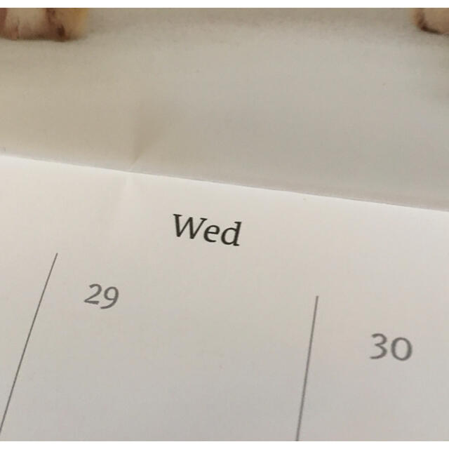 ひごペットフレンドリー　2022年カレンダー インテリア/住まい/日用品の文房具(カレンダー/スケジュール)の商品写真