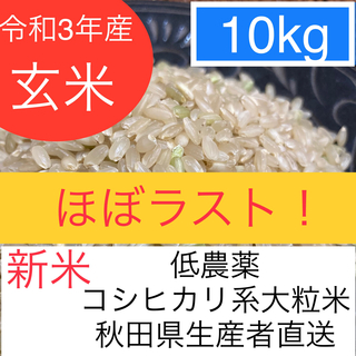 たけちよ様専用 お米 令和3年 愛媛県産ヒノヒカリ 白米 30㎏の通販 by 