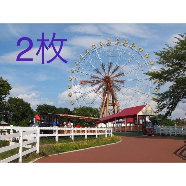 東武動物公園　フリーパス　ペア　2枚遊園地/テーマパーク