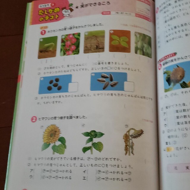 教科書ぴったりトレーニング理科小学3年 学校図書版、理科 エンタメ/ホビーの本(語学/参考書)の商品写真