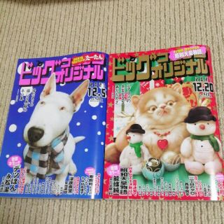 ショウガクカン(小学館)のビッグコミックオリジナル　2冊セット(アート/エンタメ/ホビー)