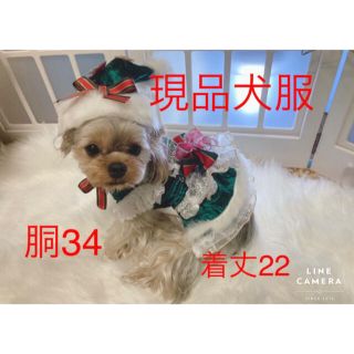 pon2pan2☆現品犬服☆着ぐるみ様専用(ペット服/アクセサリー)