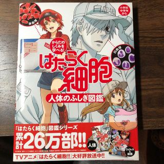 からだのしくみを学べる! はたらく細胞 人体のふしぎ図鑑(健康/医学)