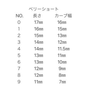 ネイルチップ　雪の結晶ネイル　シンプルネイル コスメ/美容のネイル(つけ爪/ネイルチップ)の商品写真