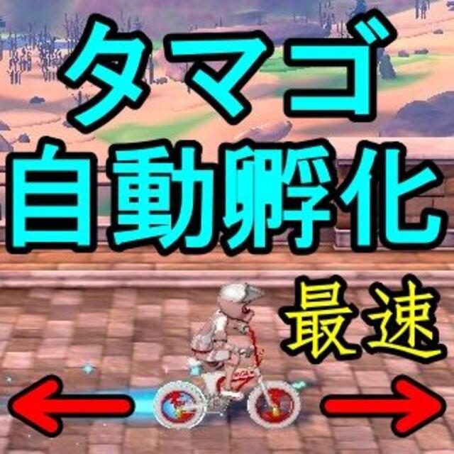 最速 自動タマゴ転送 孵化 ポケモン剣盾 ５番道路 Switch コントローラー Ii1wp2sfvs エンタメ ホビー Tdsc Sn