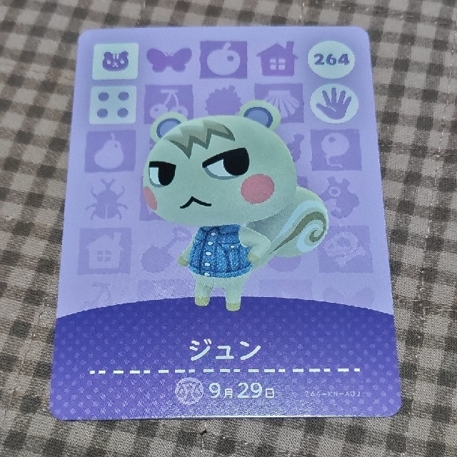 あつまれどうぶつの森　amiibo　ジュン