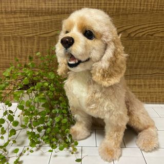 羊毛フェルト 犬 アメリカンコッカースパニエル