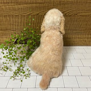 羊毛フェルト 犬 アメリカンコッカースパニエルの通販 by ぎん子's