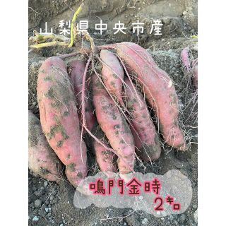 鳴門金時 2kg(野菜)