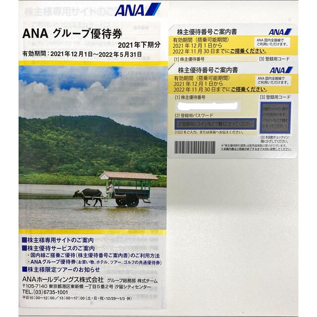 ANA(全日本空輸)(エーエヌエー(ゼンニッポンクウユ))の【2022年11月30日まで有効】ANA株主優待番号ご案内書　2枚セット チケットの優待券/割引券(その他)の商品写真