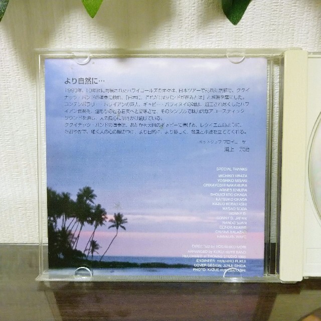 マジックアイランド ☆ ククイナッツバンド ファーストアルバム CD エンタメ/ホビーのCD(ワールドミュージック)の商品写真