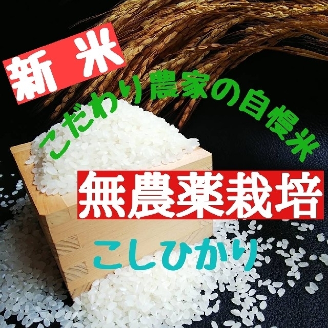 食卓応援米 精米10kg 国内産ブレンド米！ 通販