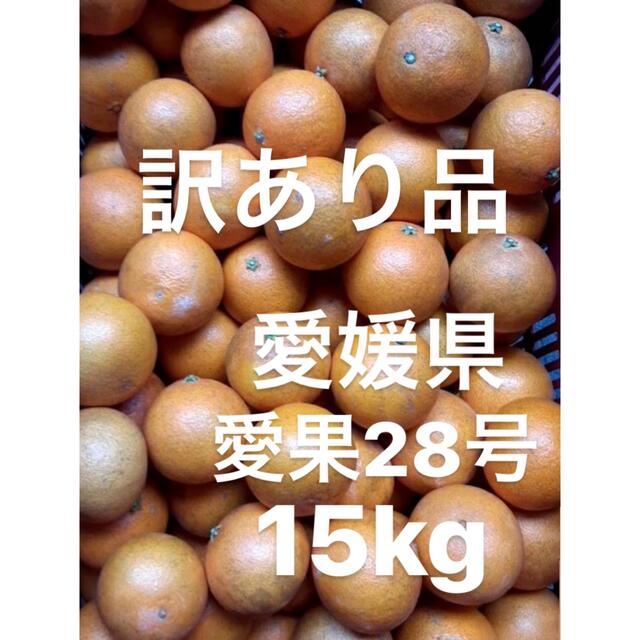 訳あり品　愛媛県　愛果28号　15kg食品/飲料/酒