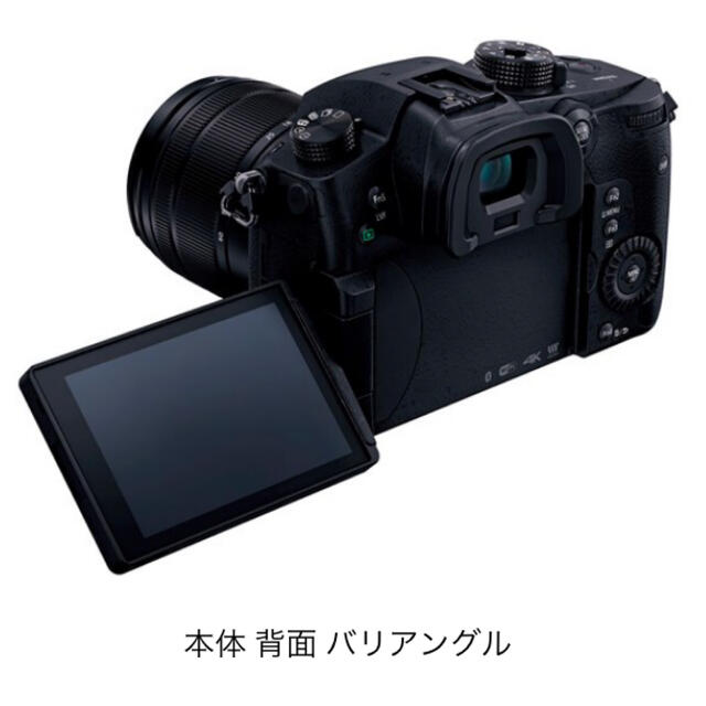 パナソニック LUMIX DC-GH5M 標準ズームレンズキット ミラーレス一眼 パナソニック LUMIX DC-GH5M 標準ズームレンズキット ミラーレス一眼