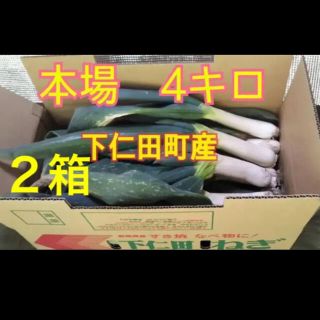 本場下仁田ネギ　4キロ箱×２箱(野菜)