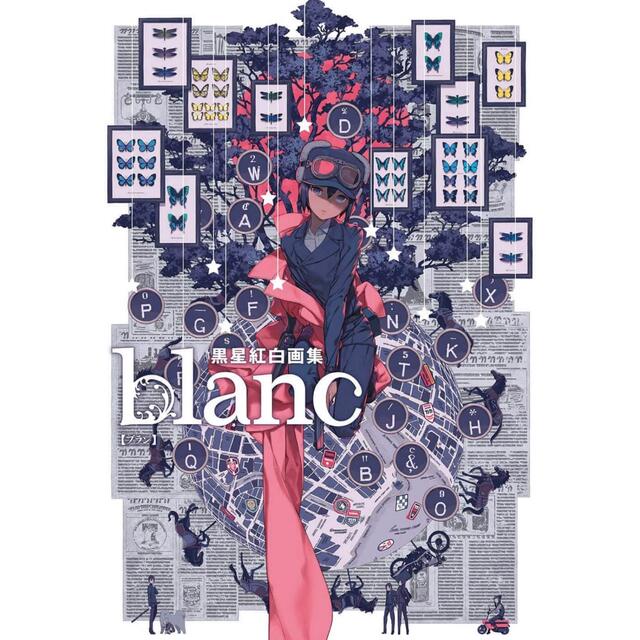 黒星紅白画集 blanc エンタメ/ホビーの漫画(イラスト集/原画集)の商品写真