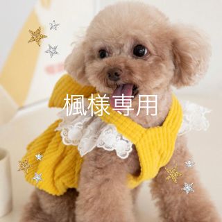 犬の服犬服ドッグウェア冬もこもこリボンバルーンワンピース(犬)