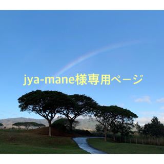 jya-mane様専用ページ(その他)