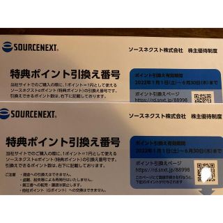 ソースネクスト 最新　株主優待 ポイント3000(その他)