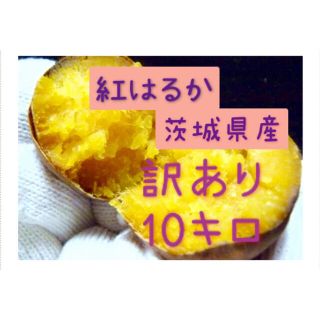 紅はるか　茨城県産　10kg    令和3年　訳あり(野菜)