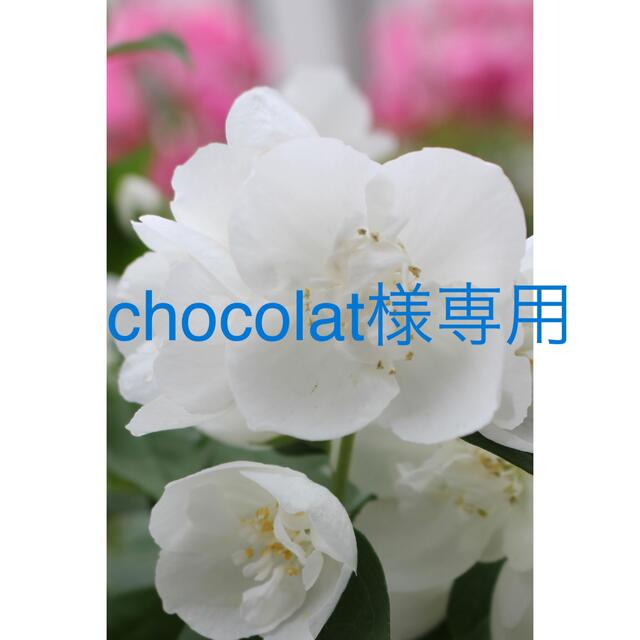 chocolat様専用ページです 美品 7241円 kinetiquettes.com