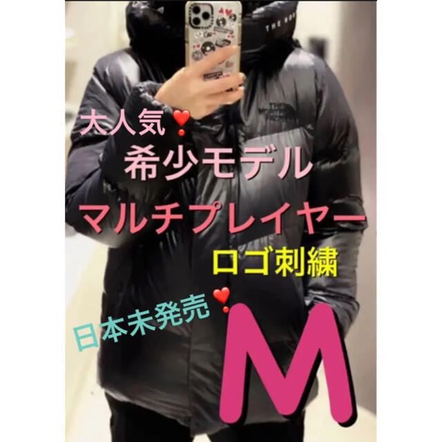 THE NORTH FACE - ラストセール❣️ノースフェイス マルチプレーヤーダウン フリームーブ ビレーヤー