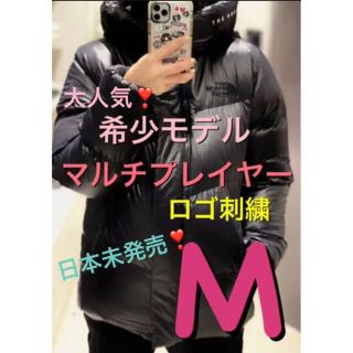 ザノースフェイス(THE NORTH FACE)のラストセール❣️ノースフェイス マルチプレーヤーダウン フリームーブ ビレーヤー(ダウンジャケット)