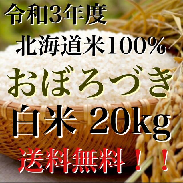 健康令和3年度産北海道米100%おぼろづき白米20kg