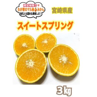 わが家のマル秘みかん❣️スイートスプリング3㎏/ミカン　蜜柑　果物　レモン　金柑(フルーツ)