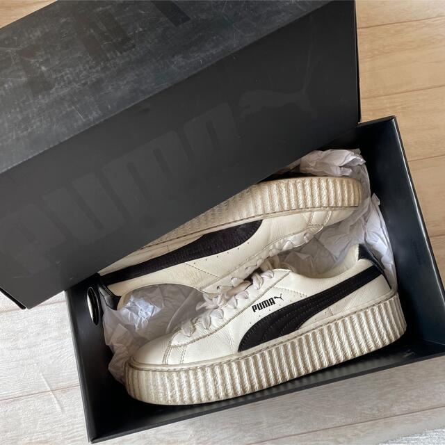 FENTY(フェンティ)の【箱付き】FENTY×PUMA CREEPER by Rihanna24.5cm レディースの靴/シューズ(スニーカー)の商品写真