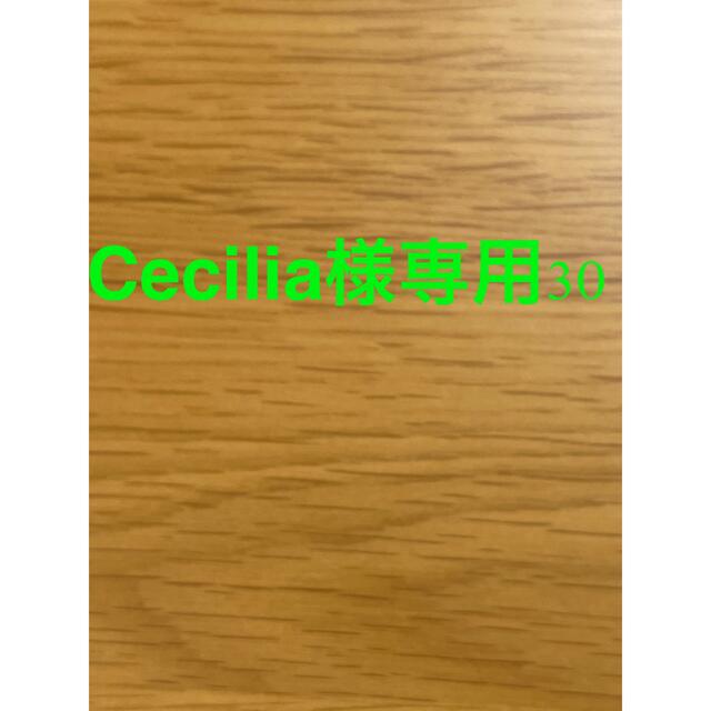 Cecilia様専用30 プレゼントを選ぼう！ www.gold-and-wood.com