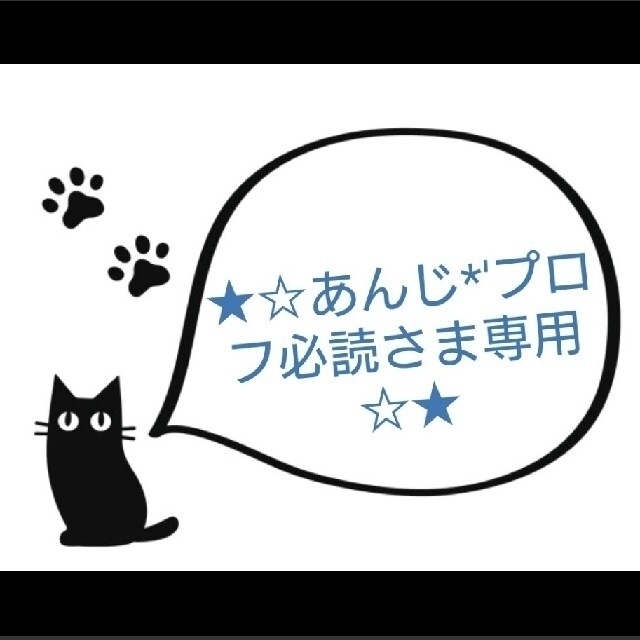 ★あんじ*'プロフ必読さま専用です★ナップサック/上履き袋/ランチョンマット～