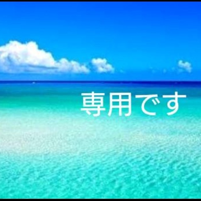 半価販売 きこり※プロフ必読^_^様 専用です meerendal.co.za