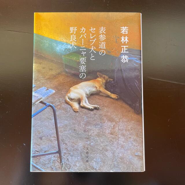 表参道のセレブ犬とカバーニャ要塞の野良犬 エンタメ/ホビーの本(その他)の商品写真